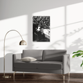 Rebbe Farbrenguen Noir & Blanc + Dollar